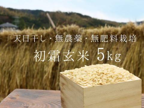 《新米令和元年産、予約》初霜玄米5kg【無農薬・無肥料 生命力溢れる】
