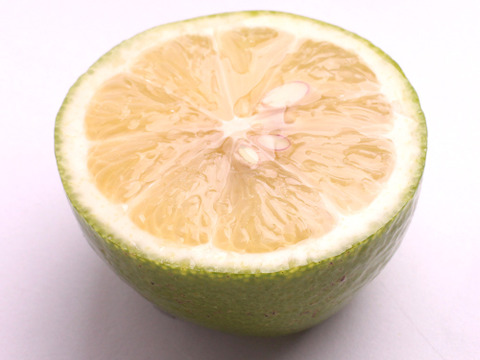 わけあり レモン１kg