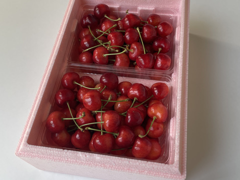 やまがた紅王】🍒700グラム🍒【2Lサイズ以上】【さくらんぼ