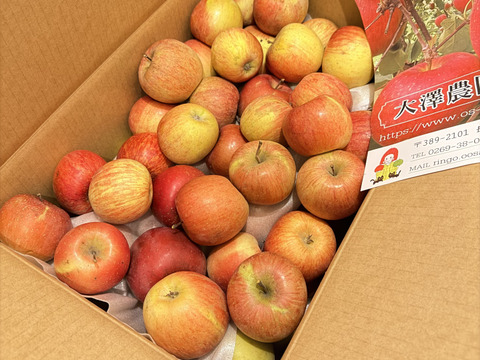 今季最終プライスダウン！！加工用りんご🍎小玉ゴロ詰め×2個パック