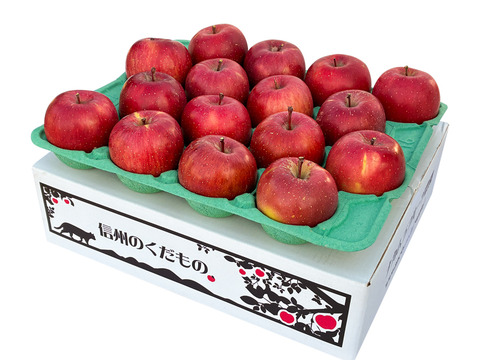 🍎りんごGP2025最高金賞1位🎊 サンふじ5キロ箱 A品B品ミックス 11玉