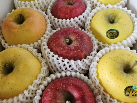 【食べ比べ】青森県産3品種詰合せりんご約5㎏（キャップ14～20個）