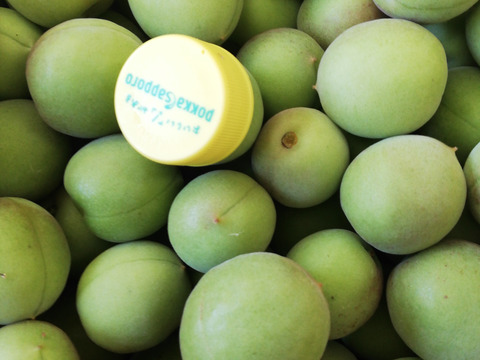 【山形県産】 青梅 1kg うめ サイズ混合