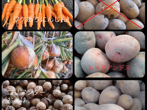 ※訳あり価格※カレー大好き百姓のじゃが・たま・にんじん+季節の野菜2品