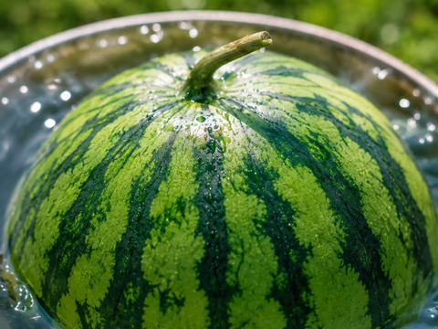 【最高糖度15度超え】夏のほんのわずかな期間しか手に入らない🍉天空栽培が生んだ唯一無二の果実『天空完熟スイカ』🍉寛永鶴見ブランド【朝どれ】【限定50玉】【7月中旬予約】