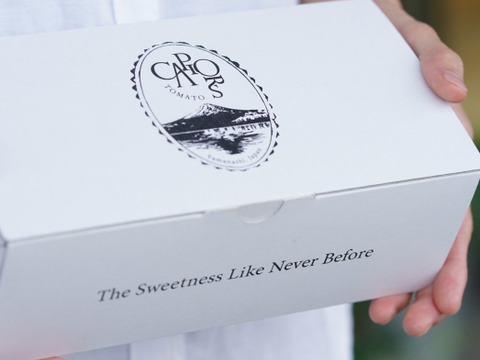 カピオプレミアムフルティカ Mサイズ 550g