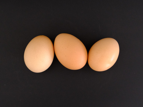 【冬ギフト】国産飼料の放牧有精卵『君は太陽』24個入り