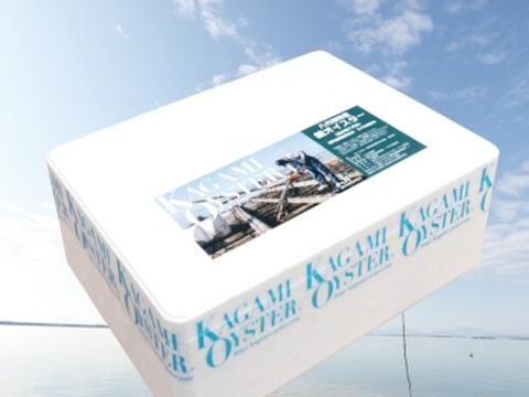 熊本産まれ 鏡オイスター 殻付マガキ(小サイズ)1.5kg・加熱調理用