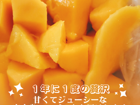 【家庭用】宮古島産完熟マンゴー2㎏(4～6玉)
