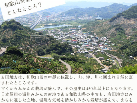 農家直送！きよみオレンジ　無選別7.5kg  【平武農園】〜蛍飛ぶ町から旬の便り〜　和歌山｜有田｜田口｜ギフト