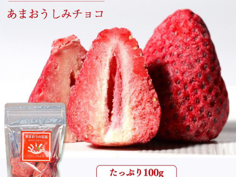 【福袋】【冬ギフト】あまおういちごスタンダード270g×2パック＆あまおう大福セット＆あまおうしみちょこ50ｇ