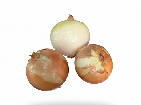 淡路島玉ねぎ　訳あり品 １０ｋｇ　お買い得！残留農薬不検出。