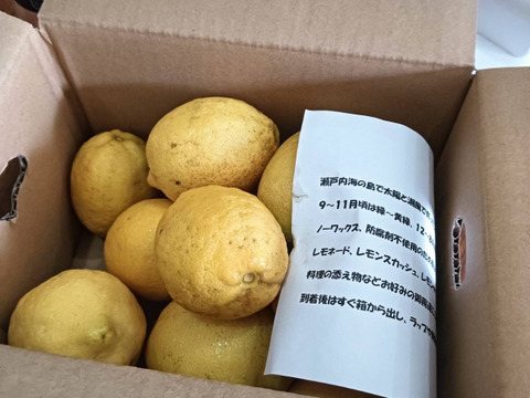 レモン　訳あり2kg　【防腐剤・ワックス不使用】