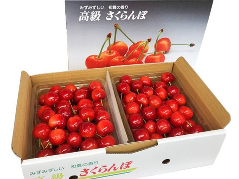 山形県産さくらんぼ　佐藤錦　1kg