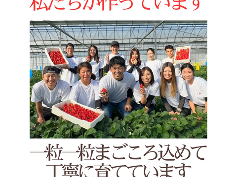 【大人気　静岡限定品種】冷凍いちご〈きらぴ香〉 １ｋｇ　使い切りやすい500gパックｘ2袋