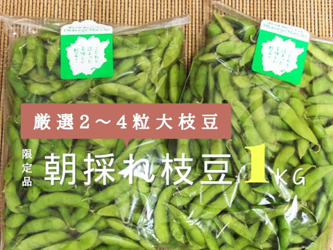 【おまけ有】 限定 極上2～4粒枝豆選定品❗ 1.0Kg(500g×2袋) 🤗 贈答品にもオススメ🍀 朝取出荷 鮮度抜群 香り枝豆 ✨『月夜音(つきよね)』 ✨👨‍🌾晴れの国おかやま 国産枝豆
