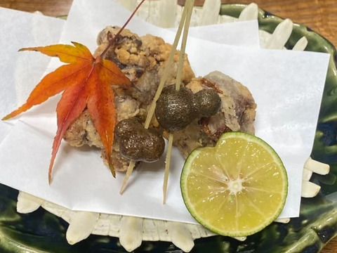 誰でもたべやすい！すっぽん唐揚げ（４個入り）