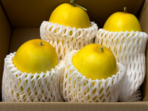 懐かしいあの味　’金太郎メロン’　復活！