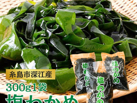 塩蔵わかめ 300g 新物 糸島 深江産