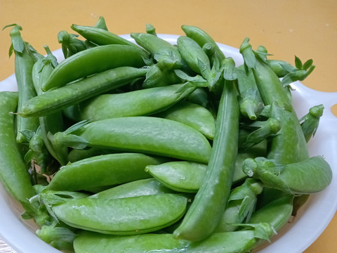 シャキシャキ甘い！沖永良部島産スナップエンドウA品　１キロ