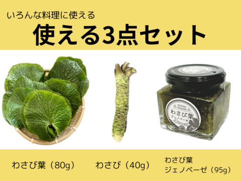 【わさびいろいろセット】真妻わさび・わさび葉・わさび葉ジェノベーゼ