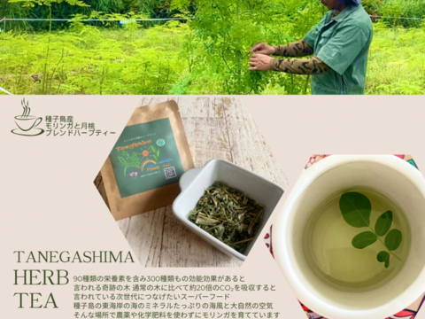 【福袋2025】種子島ハーブティー 15袋（1袋×3g）15リットル分 モリンガと月桃のブレンド