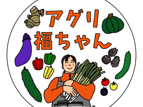 朝取り！訳あり！ナス(黒陽)　2キロ(5〜8本)