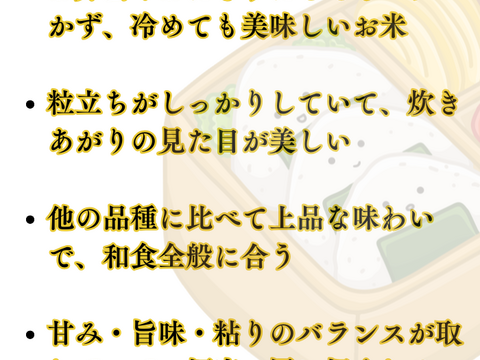 あきたこまち 【玄米】新米 R7年度産  30kg 秋田県産 あきたこまち