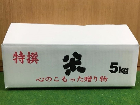 【年末セール】【令和7年新米】自然栽培「ゆうだい２１」玄米　５ｋｇ【福袋】