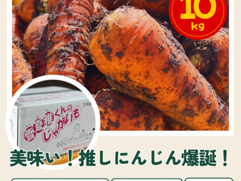 ※物価高騰をぶっ飛ばせ！※北海道の恵み！やさしい甘味の浦幌産のにんじん10kg