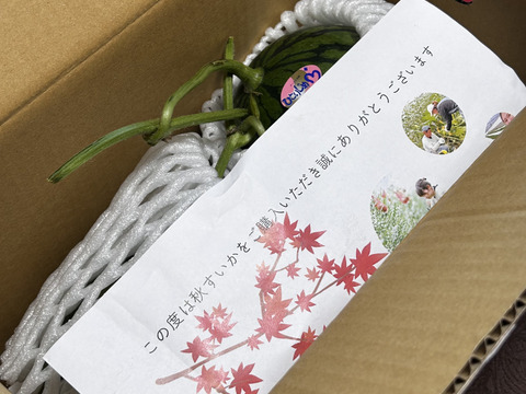 ☆大人気☆名産地熊本県よりお届け‼︎小玉スイカ2玉入り(2.0.kg以上×2玉）
