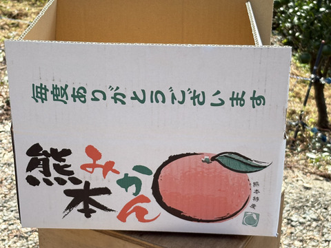 清水果樹園の蔵熟みかん9.5k
熟成されたみかん味わってください