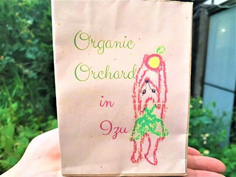 贈り物に 手作りミニサイズジャム ギフトバック入り 無添加 無農薬 除草剤不 おまとめ発送10瓶まで可 静岡県産 食べチョク 農家 漁師の産直ネット通販 旬の食材を生産者直送 贈り物に 手作りミニサイズジャム ギフトバック入り 無添加 無農薬 除草剤不 おまとめ発送10瓶まで可 静岡県産 食べチョク 農家 漁師の産直ネット通販 旬の食材を生産者直送