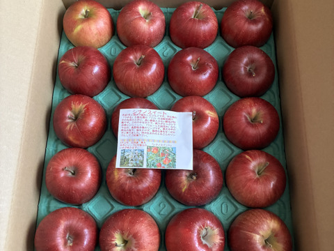 「シナノスイート」お徳用訳あり　沢山食べたい5キロコース　（18玉から20玉）　美味しさそのままスマートフレッシュ　鮮度保持貯蔵　訳あり約5キロ　ご好評販売中