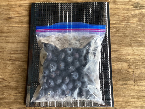 農薬不使用】大粒品種！ブルーベリー 冷凍 500g：群馬県産の