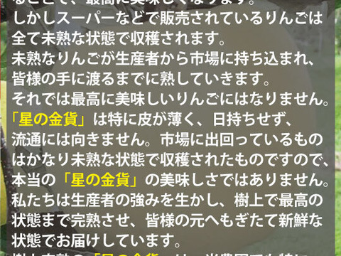 【一度は食べて頂きたい！】約３キロ 和梨みたいな青森県産りんご「樹上完熟葉とらず星の金貨」