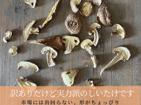 完全国産材料使用　徳島県産乾燥椎茸　100グラム　農薬、殺虫剤も不使用生産