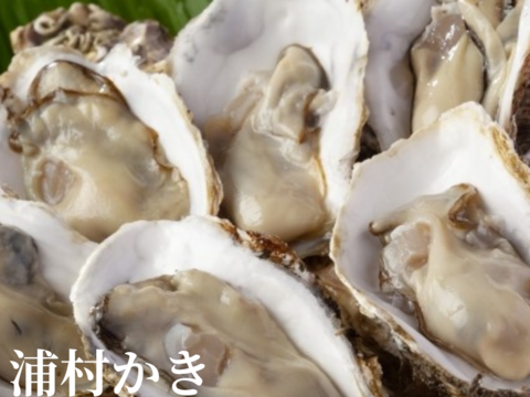 牡蠣好き歓喜の30%増量中！三重県産 殻付き 浦村かき M～Lサイズ 30個入り（約3.3kg前後）（3～6人前）【生牡蠣】【生食用】貝類 海鮮 バーベキューに BBQ お歳暮 母の日ギフト