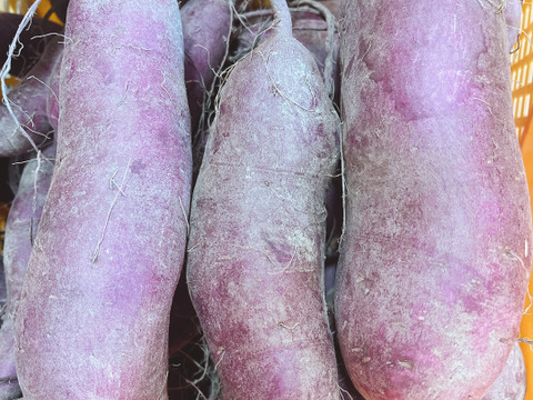 パープルスイートロード2kg（紫芋）甘さ控えめ　ホクホク　焼き芋、スイーツ、お料理に‼︎