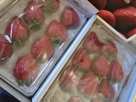 ※今シーズン即完売・来年度予約分※【いちごグランプリ2026最高金賞】完熟あまりん！数量限定！順次発送！！