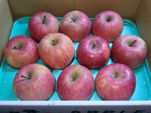 農薬半減栽培【キズなし良品】低農薬で皮ごとうまい🍎サンふじ🍎3kg  葉とらずりんご 旬 化学肥料不使用 特別栽培認証取得