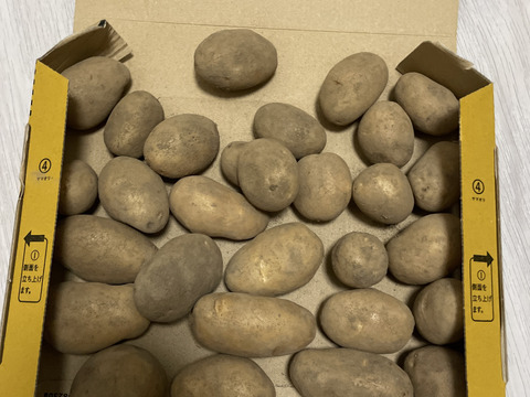 メークイン　70グラム前後小玉　1キロ