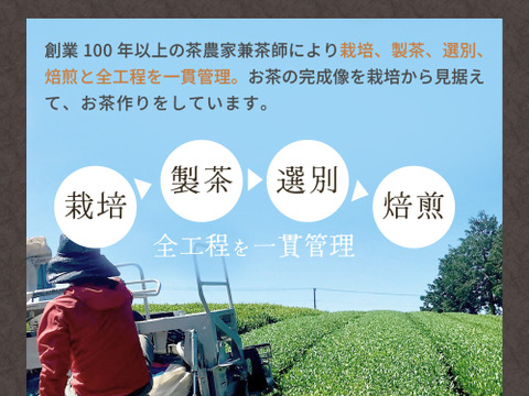 【合わせ買い】カフェインフリー♪カフェインレスほうじ茶 ティーバッグ ほうじ番茶 ティーバッグ お茶 パック 日本茶 番茶 静岡県 赤ちゃん ベビー 乳児 0歳児 妊娠 妊婦