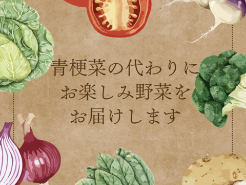 徳島県産新玉ねぎと葉物野菜+お楽しみのセット《栽培期間中農薬・肥料不使用》