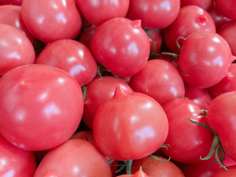 【ありさん専用】【24粒入り】SMサイズのこてらんねぇトマト