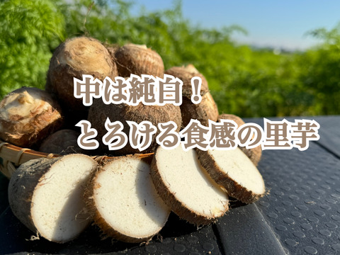 【年末予約便】とろける里芋とろりん1.8kg