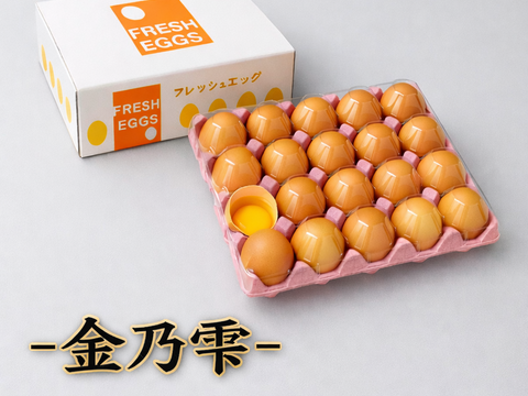 那須ブランド平飼い卵-金乃雫-〈日和・家庭用〉15個(割れ保証込20個)