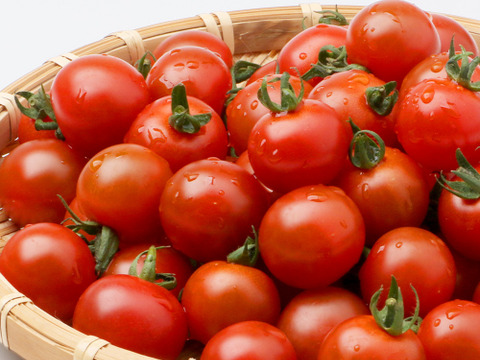 NEW!!ミニトマト&ドレッシング(2本)セット