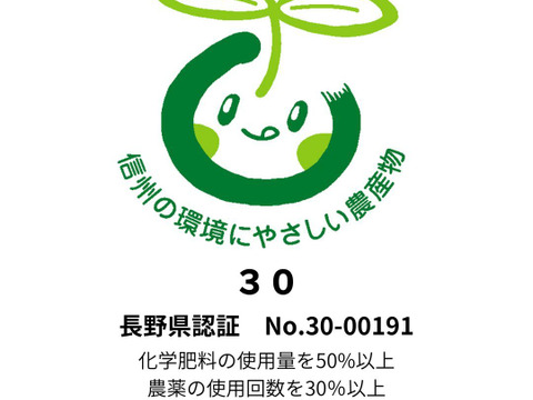 朝採り当日発送！シナノリップ5kg箱☆酸味さわやか夏りんご☆無選別規格（4.5kg〜5kg＝16~20玉目安）※化学合成農薬約50%削減栽培