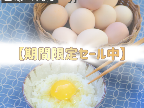 ハッピーハロウィン🎃！1000円OFF🎉平飼い名古屋コーチン【王様のたまご】24個（22個+破卵補償分2個含む）